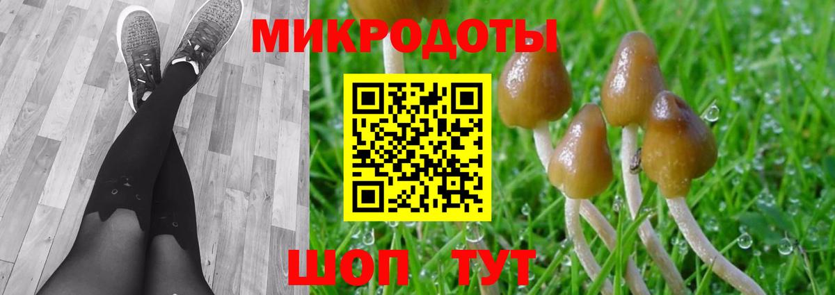 Псилоцибиновые грибы Psilocybine cubensis  Вход с VPN  Шебекино 
